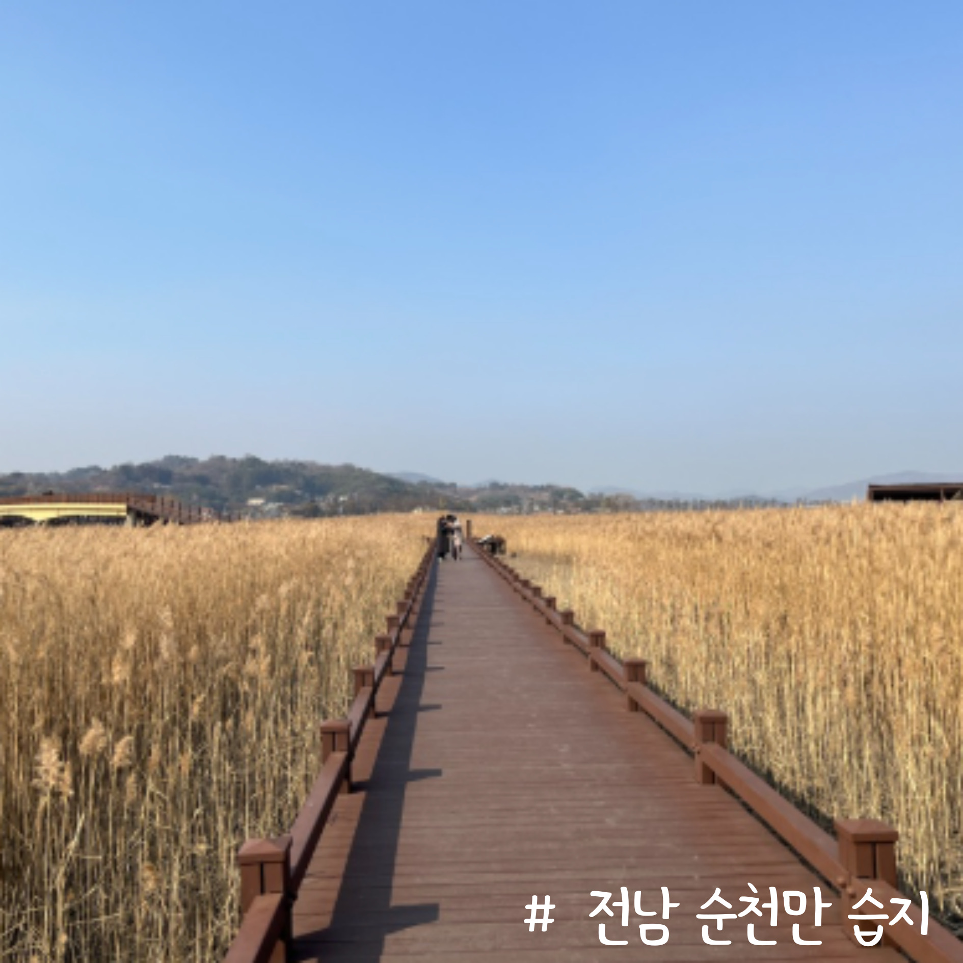 전남 순천만 습지 데크