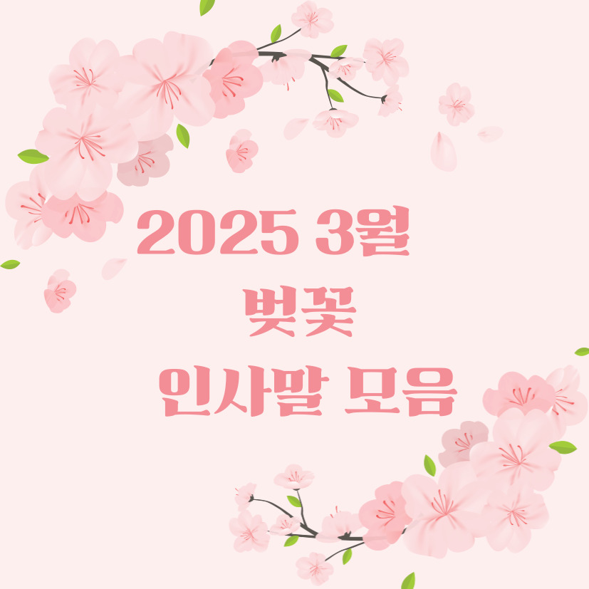 벚꽃 인사말 모음: 입체 3D 팝업카드 보내기