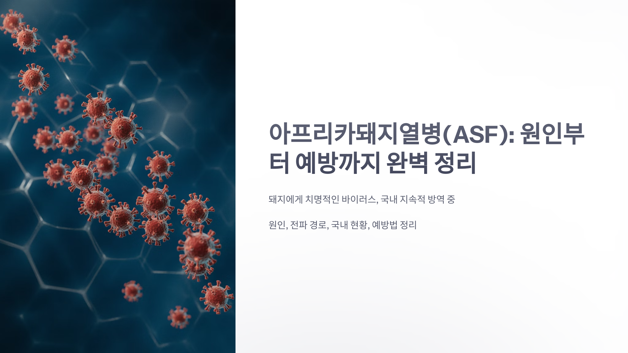 참조-아프리카돼지열병-1