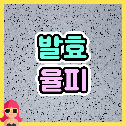섬네일 발효율피
