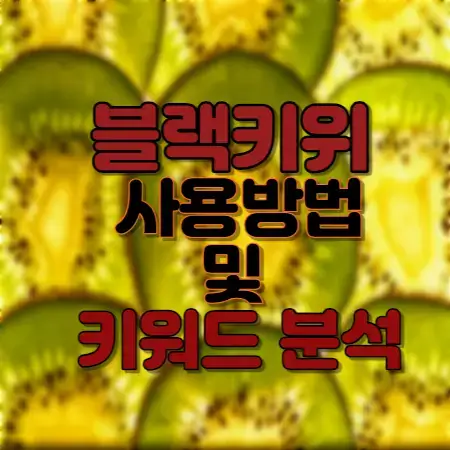 블랙키위사용방법및-키워드분석-키위사진배경섬네일