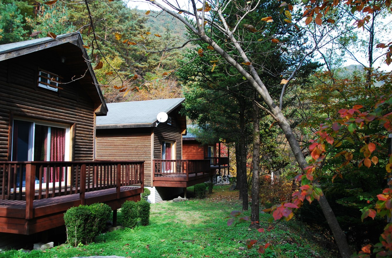 가리왕산-숲속의-집