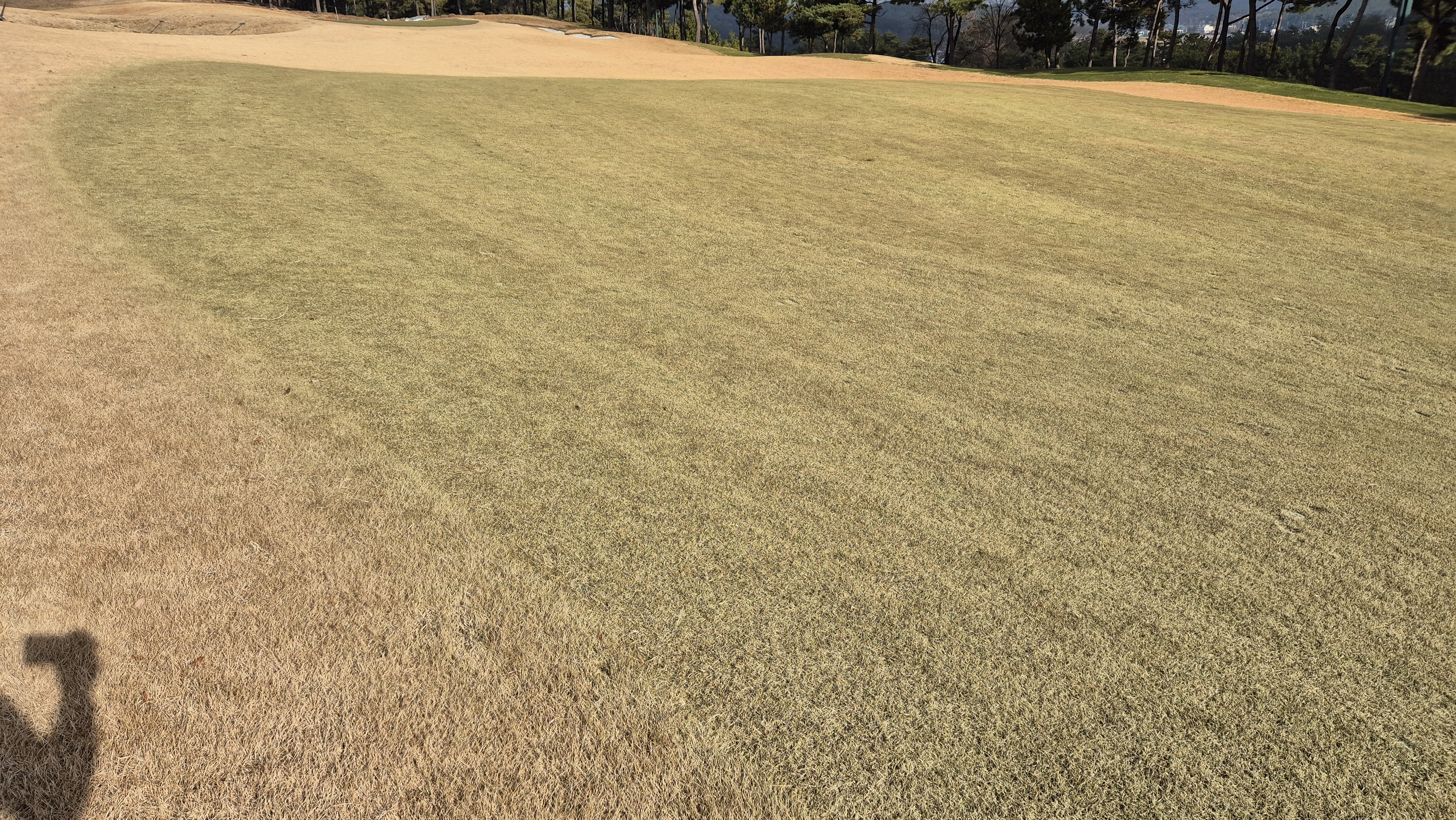 더헤븐cc 사우스-웨스트 코스 관리 상태