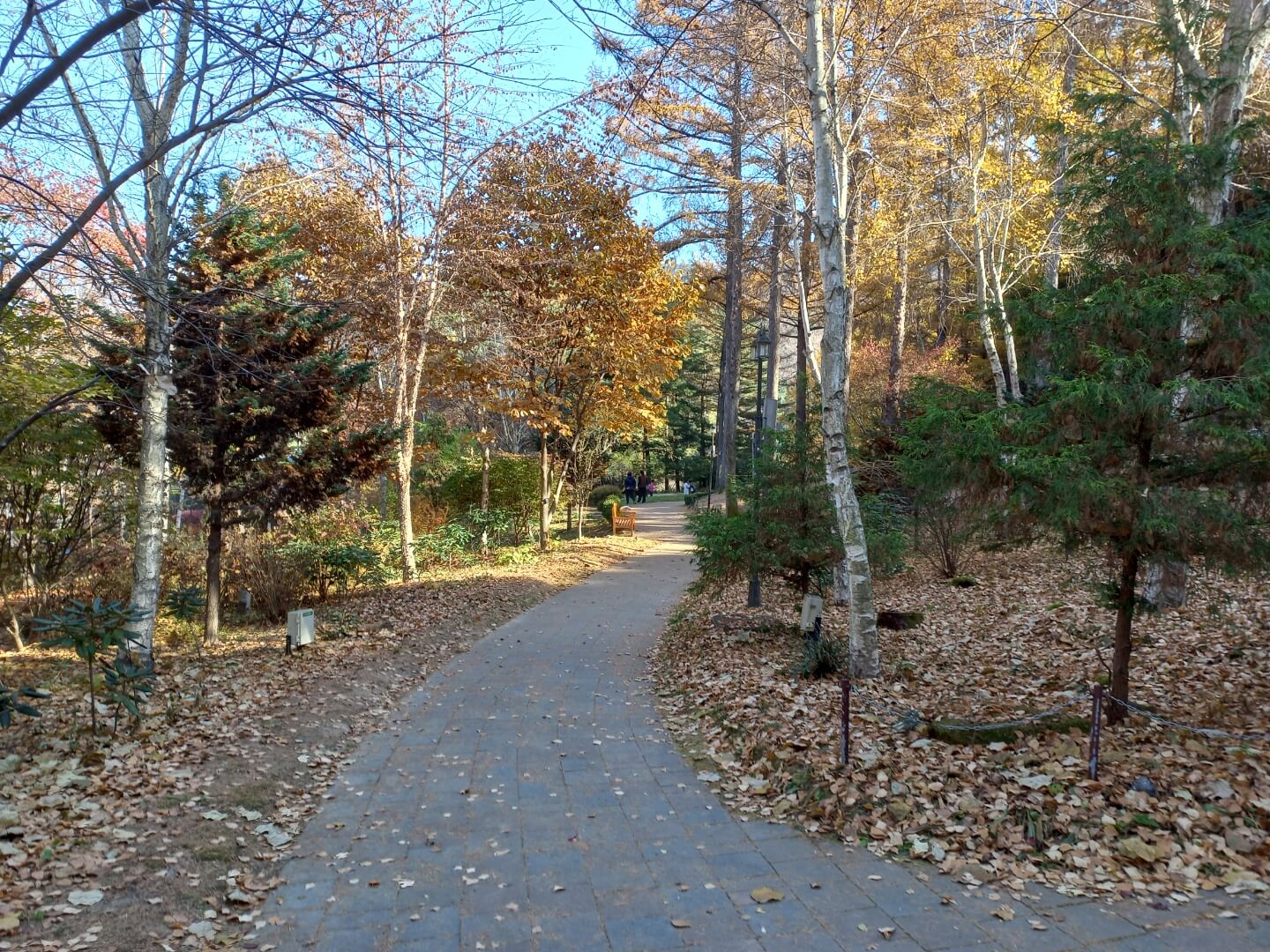 아침고요수목원 오색별빛정원전