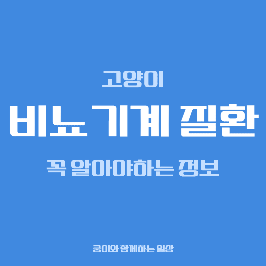 고양이 비뇨기계 질환, 집사가 꼭 알아야 할 정보