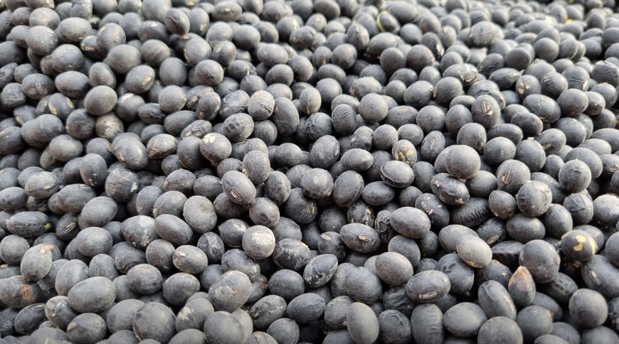 오늘N 이 맛에 산다 부안 부건농장 직거래 농산물 절임배추 고추가루 김장김치재료