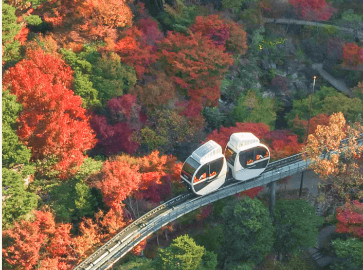 화담숲 예약 필수 안내 및 방문 전 확인사항 정리.