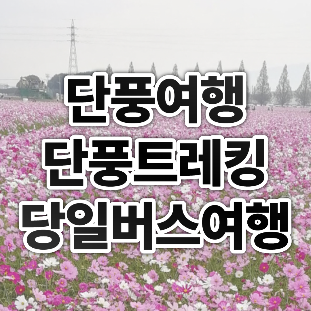 단풍여행 단풍트레킹 당일버스 여행