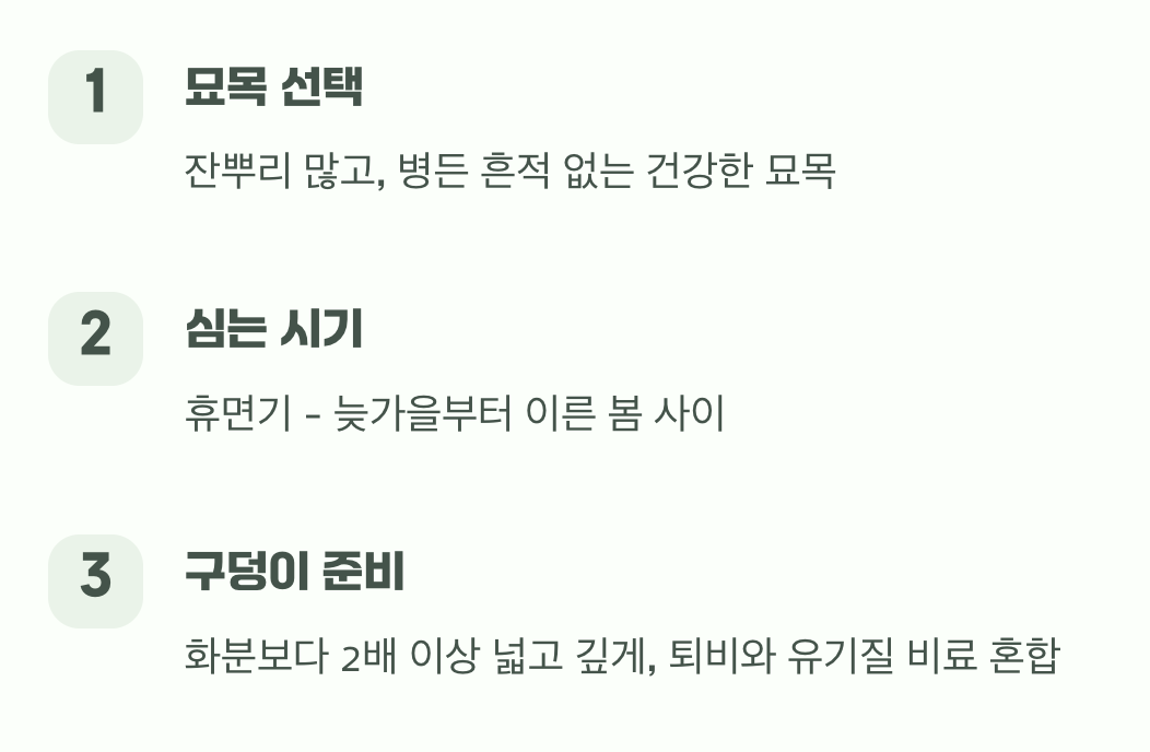 튼튼한 시작&amp;#44; 묘목 심기
