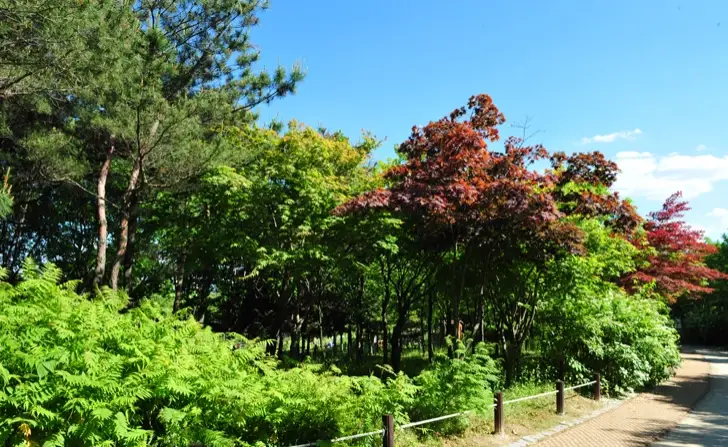 대전-한밭수목원-입장료-주차-요금-관람시간