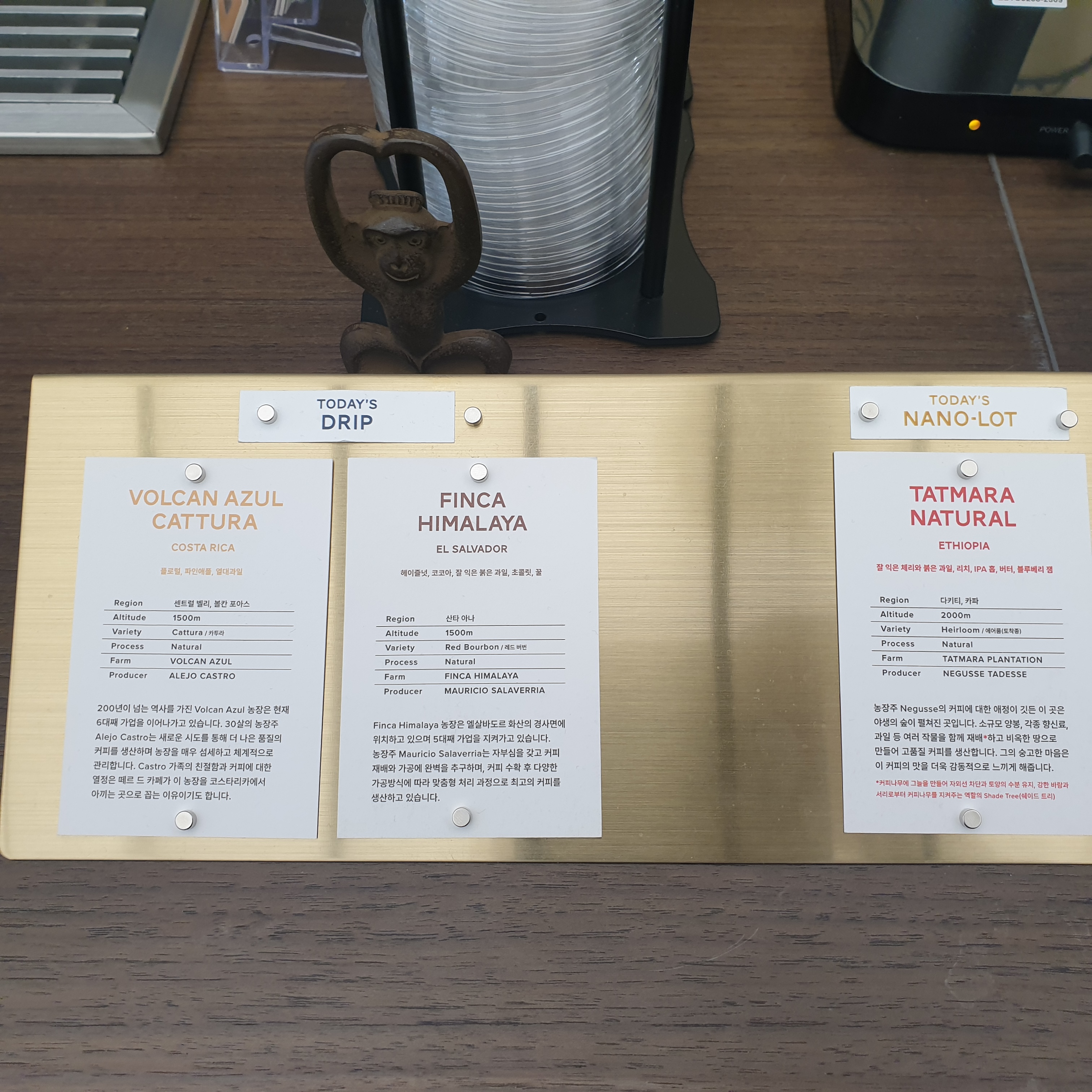 목동 스페셜티 커피 '떼르 드 카페 (TERRES DE CAFE)' 현대목동점_핸드드립 원두