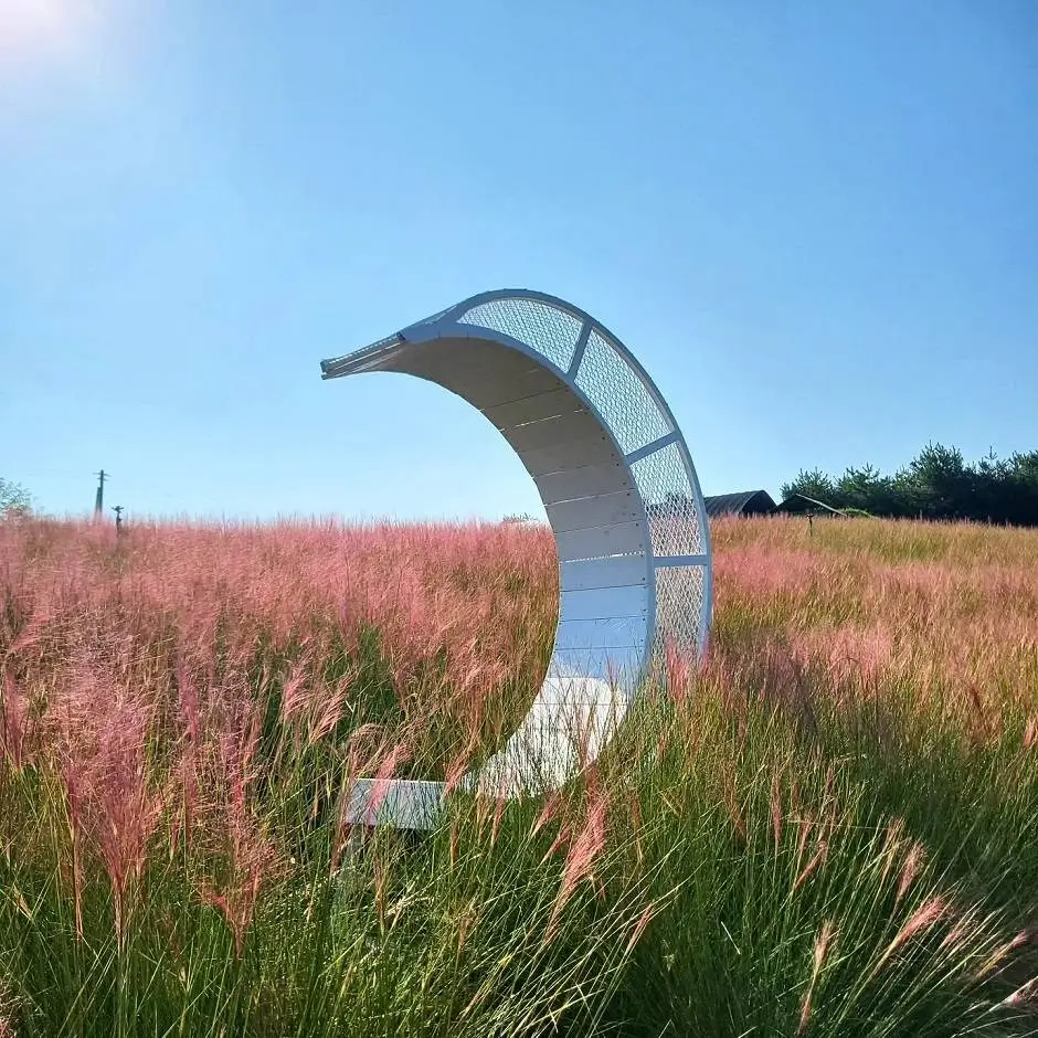 고창 청녹원 핑크뮬리 가든