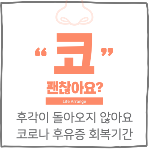 후각이 돌아오지 않아요 코로나 후유증 회복기간