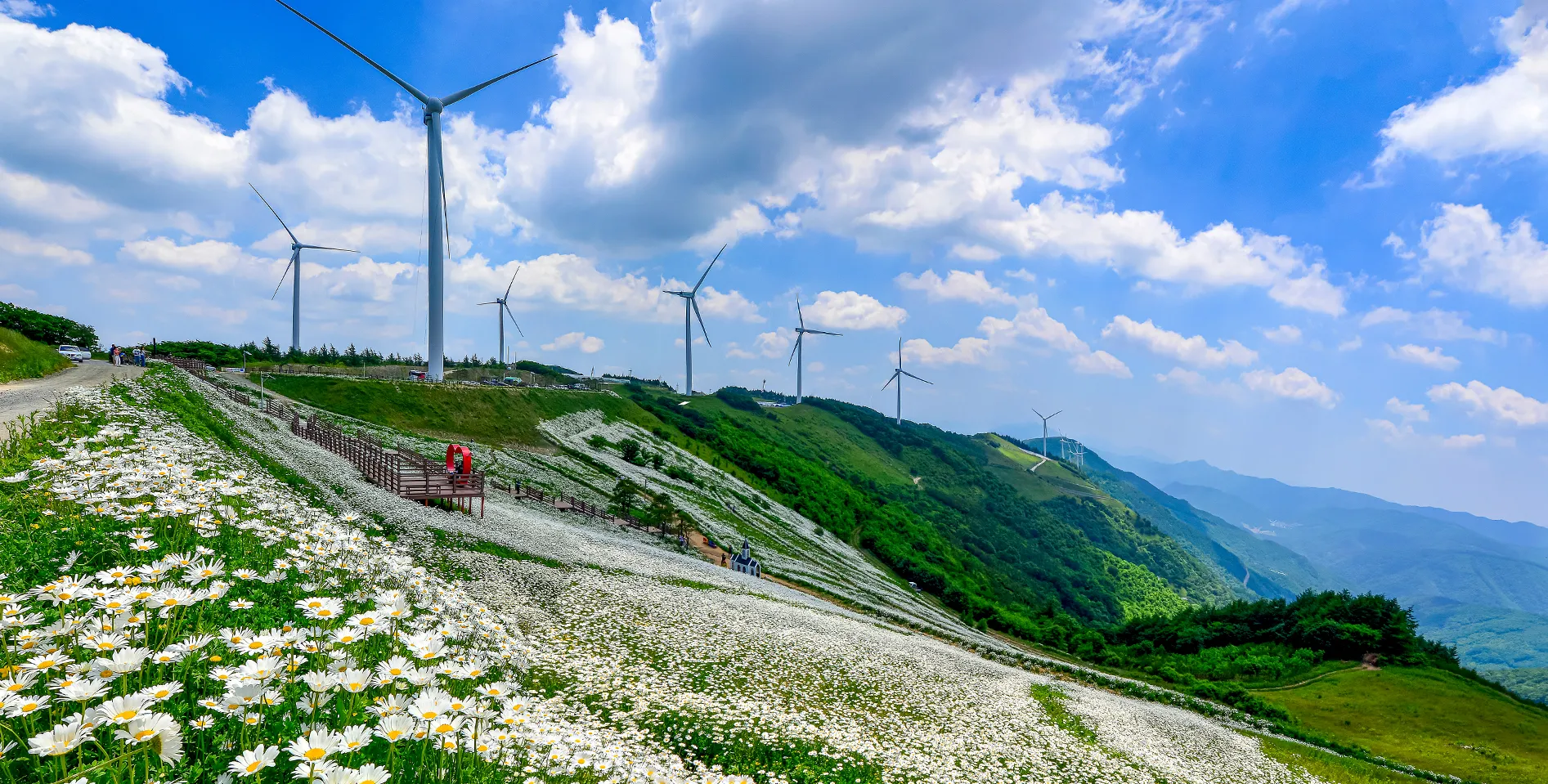 평창 가볼만한곳 베스트10 완벽 자연 여행_2