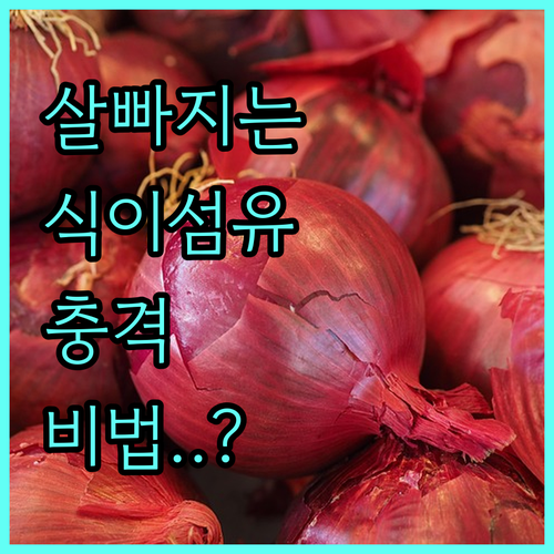 성공적인 체중 감량을 위한 식이섬유 ..