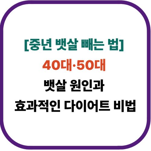 [중년 뱃살 빼는 법] 40대&middot;50대 뱃살 원인과 효과적인 다이어트 비법