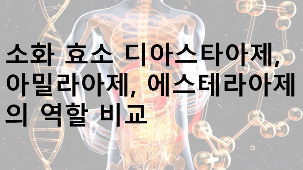 소화 효소, 디아스타아제, 아밀라아제, 에스테라아제, 소화 효소 역할, 소화 효소 역할 비교