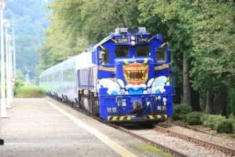 코레일 기차표 예매 바로가기 완벽 교통 예약_9