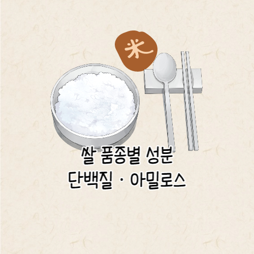 쌀 품종 성분