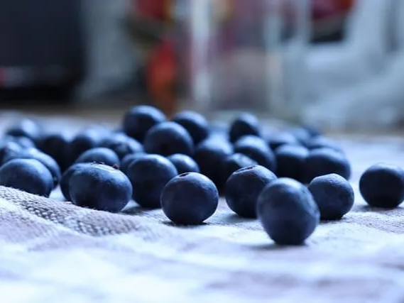 냉동 블루베리 장점