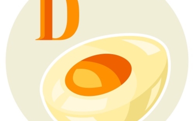 비타민d 이미지