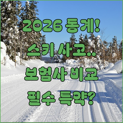 2026 동계올림픽 스키 사고 보장 ..