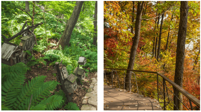 2025년 화담숲 벚꽃 사전예약 (입장료, 모노레일)