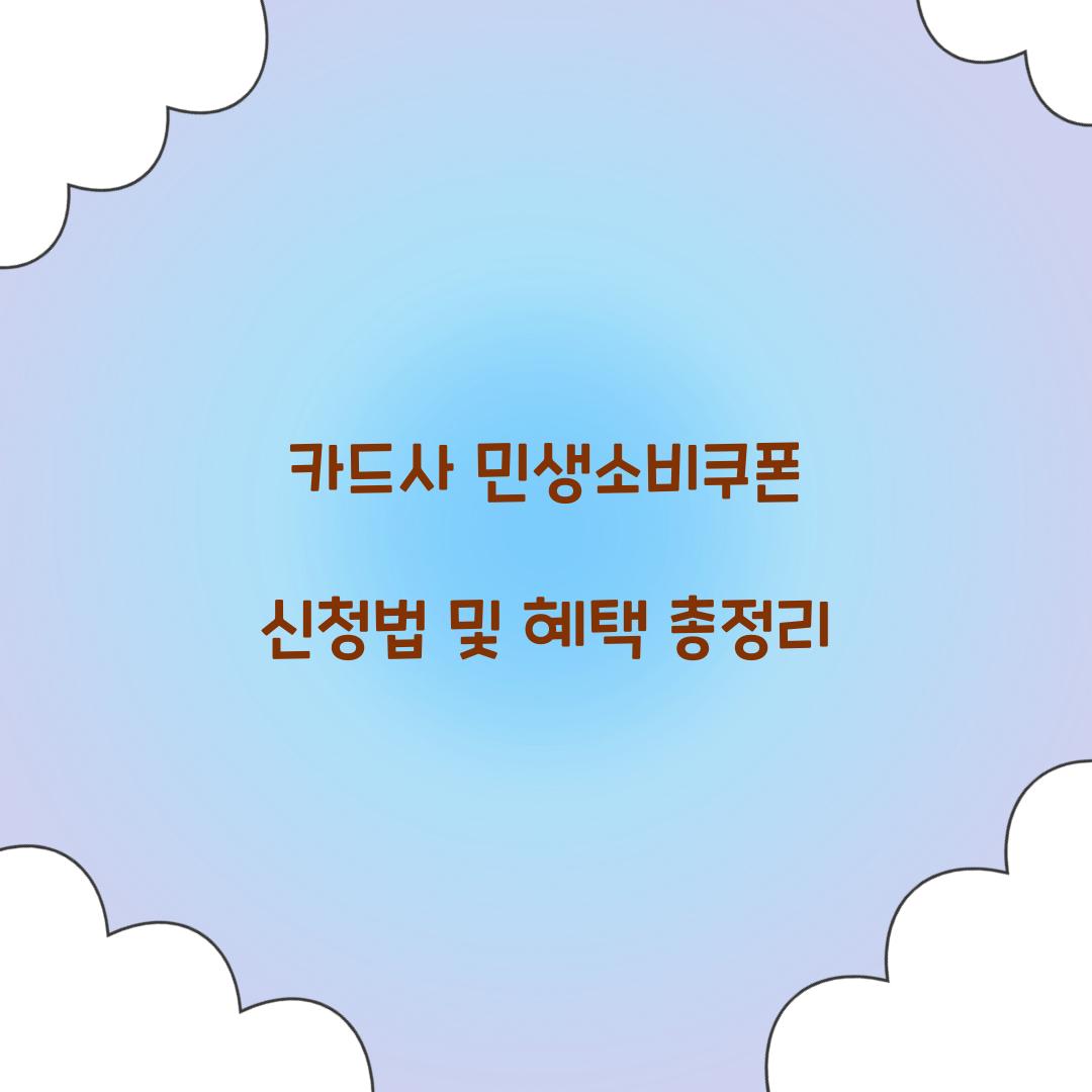 카드사 민생소비쿠폰