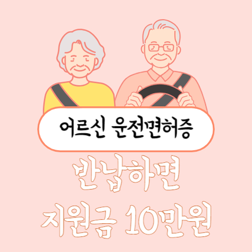 노인운전면허증 반납