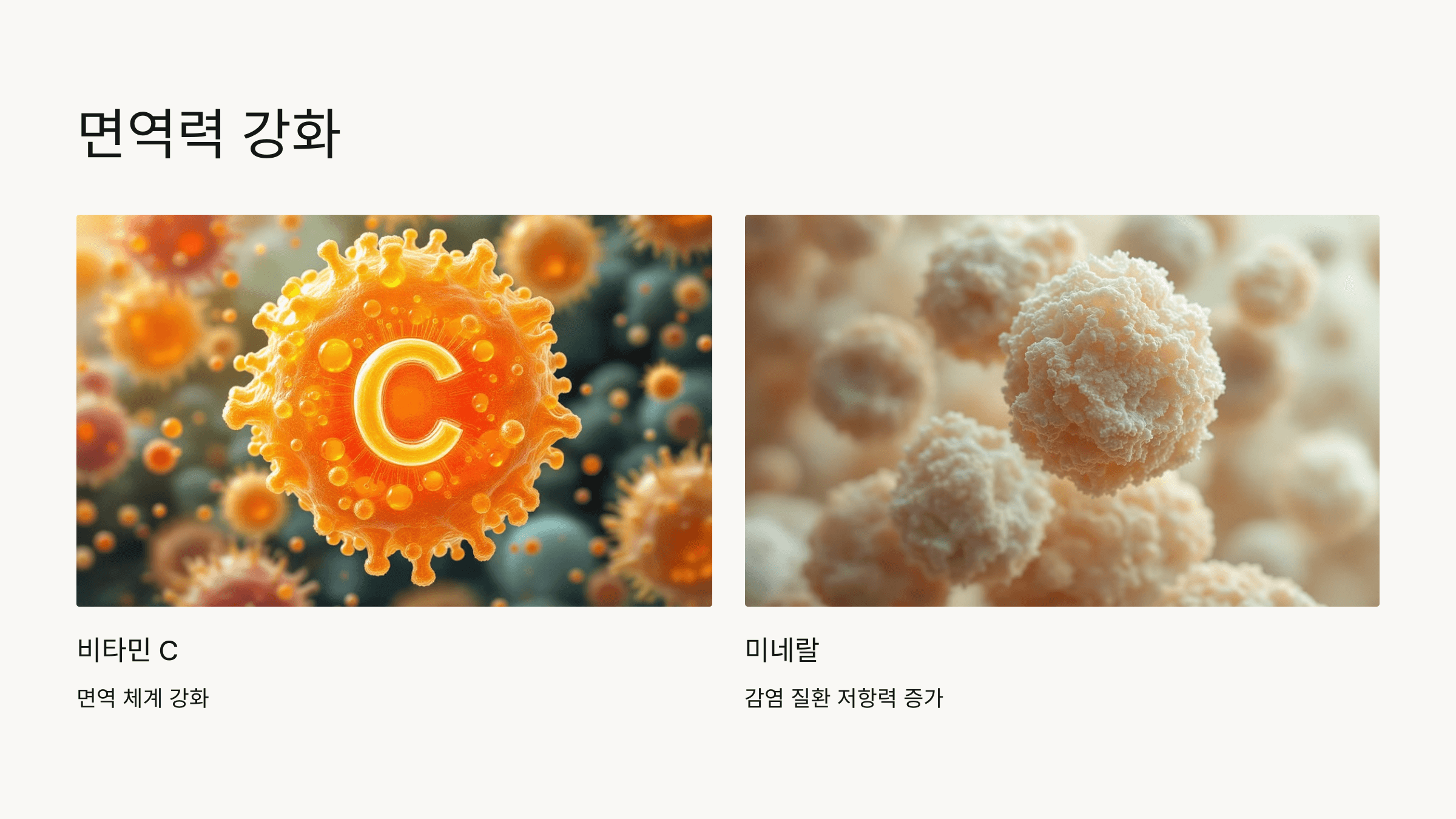 마가목 열매 사진입니다.