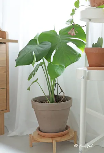 다이소 화분 활용 배수구멍 만들기 받침 사용 흙선택 예산절약 팁_12