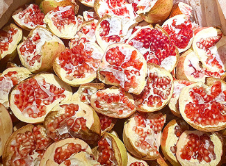 고흥석류피칸농장