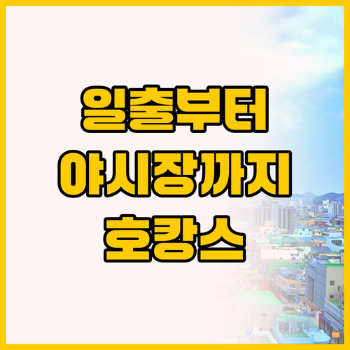 일출부터 야시장까지 목포 두 호텔의 ..