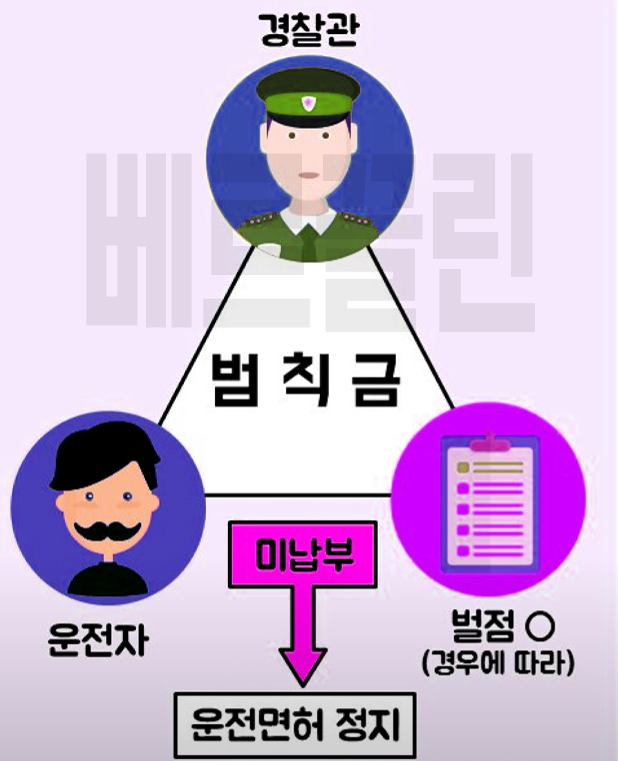 신호위반 범칙금