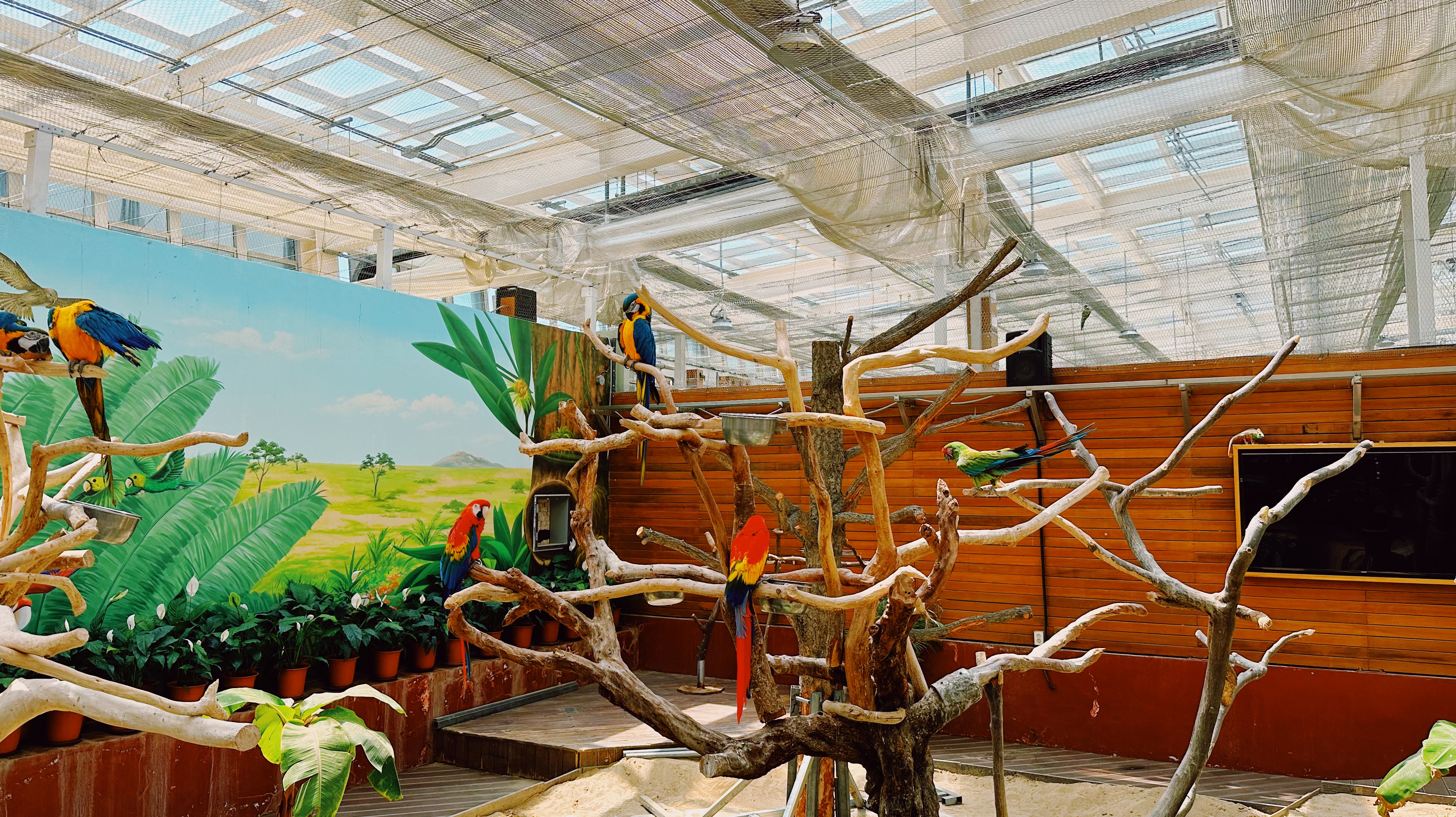 오월드 버드랜드