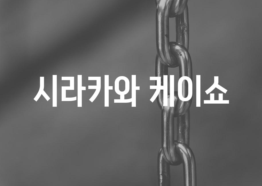 샘플 (61)