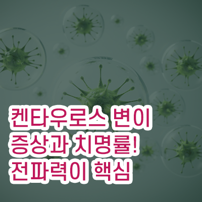 켄타우로스_코로나바이러스_썸네일