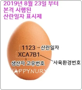 계란에 적힌 번호가 정확히 뭘까 계란 난각번호 4번 제대로 알고 먹고 있나요_16