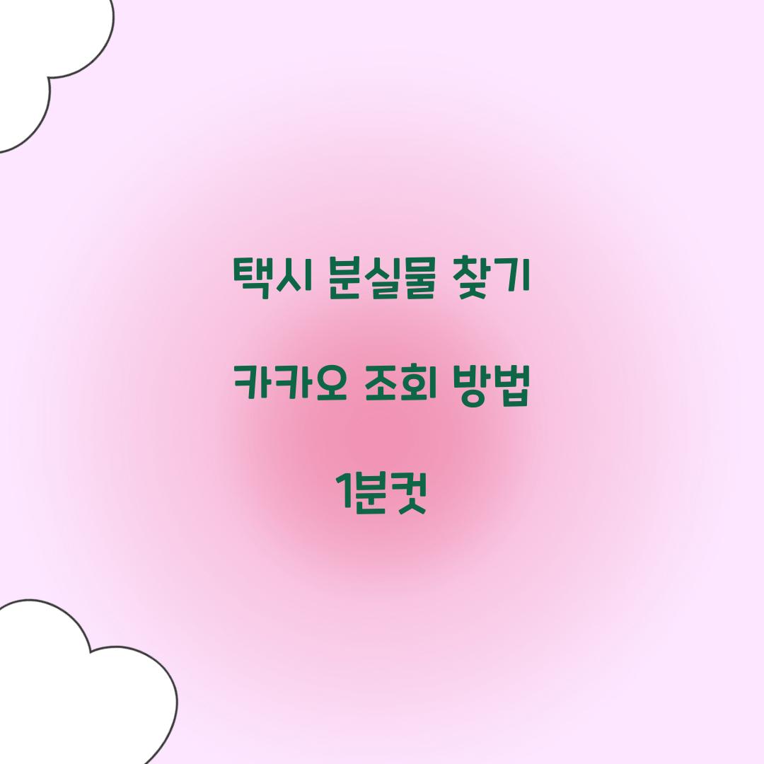 택시 분실물 찾기