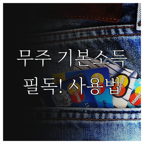 2026년 3월 무주 기본소득 지급 ..