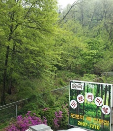 숲속도토리마을