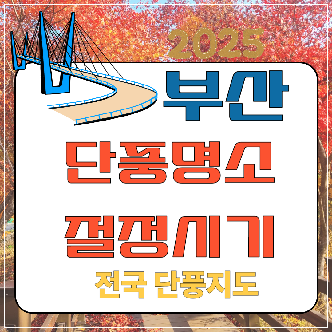 2025 부산 단풍명소 절정시기 전국 단풍지도 이미지