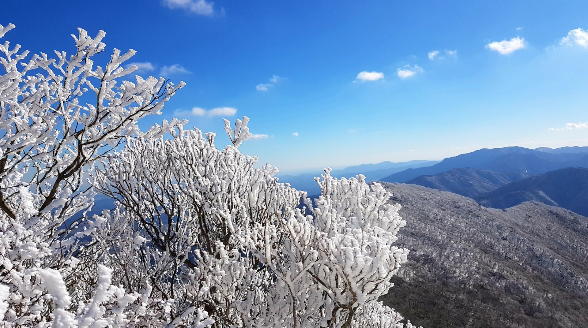 울산 가지산19 설경과 상고대