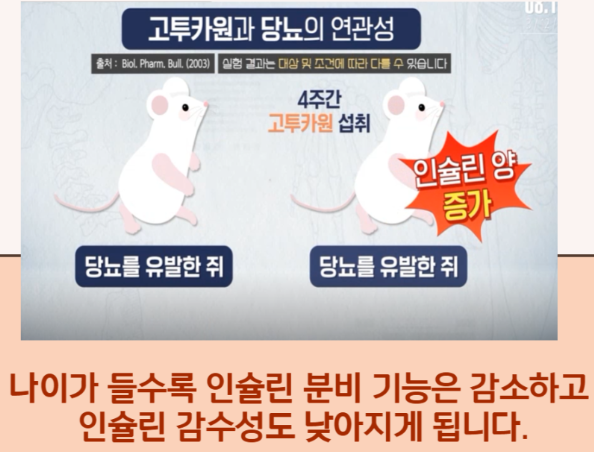고투카원 효능