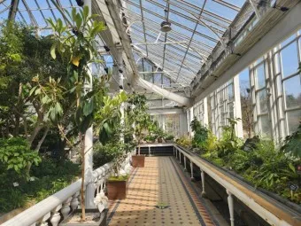 창경궁 예약 탐방 근처 맛집 10선_24