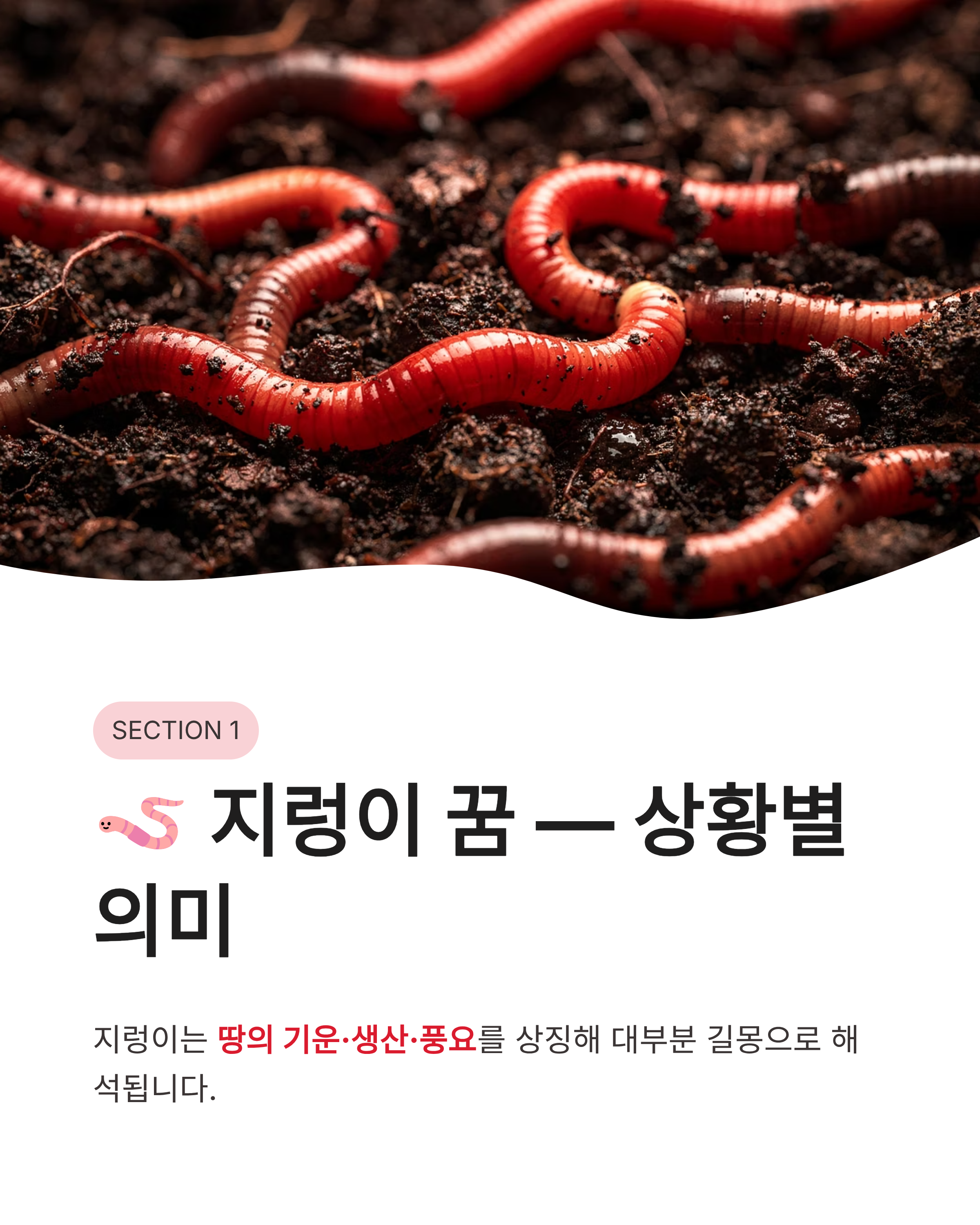 지렁이 꿈 해몽, 큰 지렁이 꿈, 태몽, 지렁이 먹는꿈, 몸에서 지렁이 나오는꿈 해몽