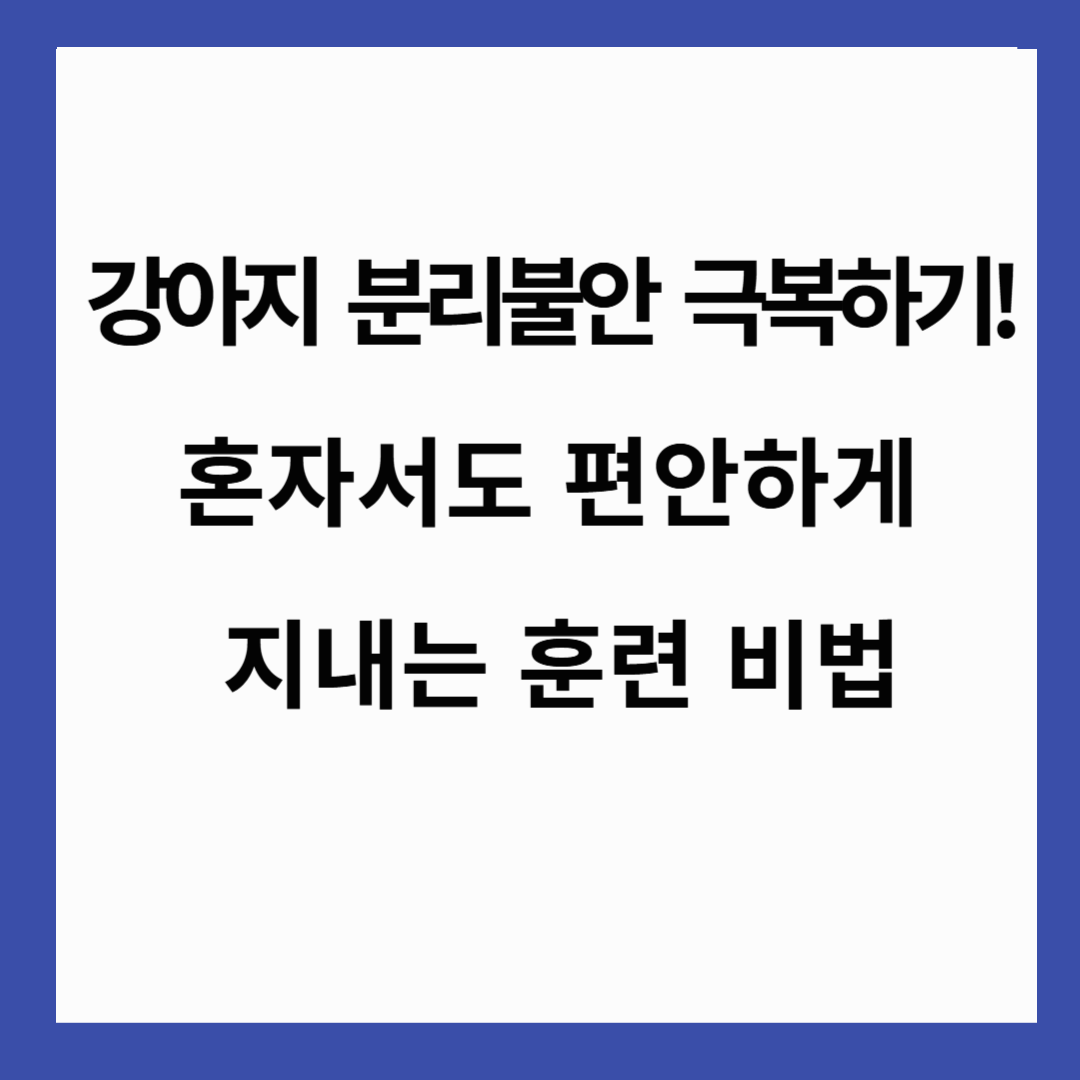 🐶 강아지 분리불안 극복하기! 혼자서도 편안하게 지내는 훈련 비법
