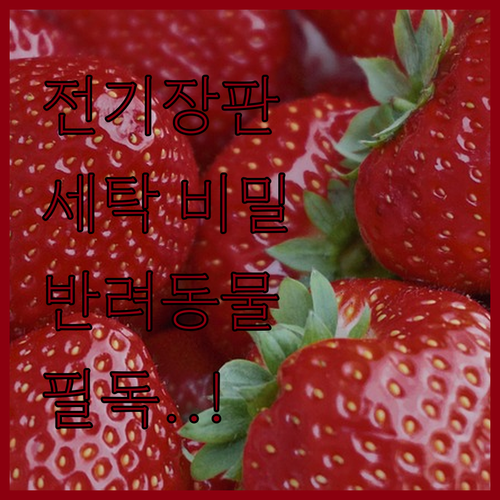 고양이 강아지 전기장판 탄소매트 세탁..