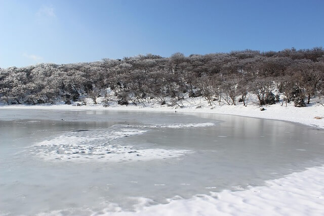 2025 한라산 탐방 사전예약 필수! 성판악·관음사 코스 신청 꿀팁