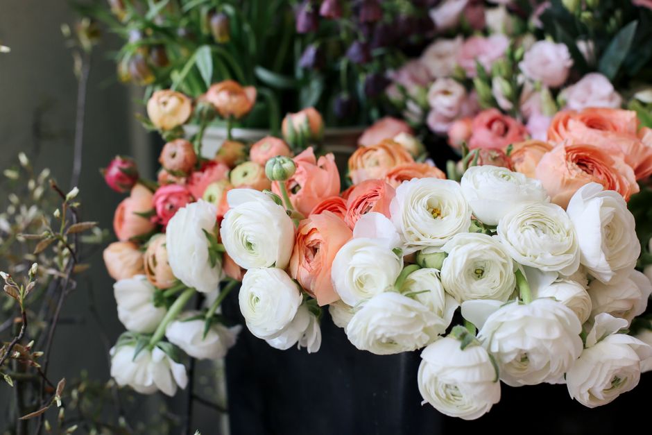 Close-up of diverse ranunculus flowers arranged beautifully in a bouquet.